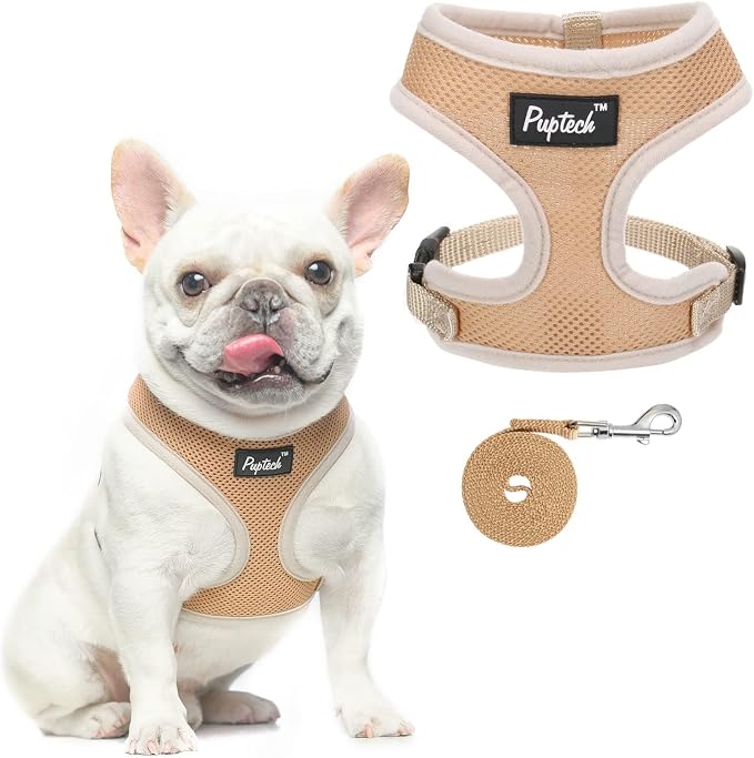 PUPTECK Soft Mesh Dog Harness and Leash Set Pet Puppy Cat Comfort Padded Vest by PUPTECK