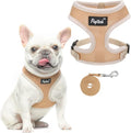 PUPTECK Soft Mesh Dog Harness and Leash Set Pet Puppy Cat Comfort Padded Vest by PUPTECK