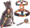 BINGPET Cat Harness with Airtag Holder, Cat Harness and Leash Set Escape Proof by BINGPET