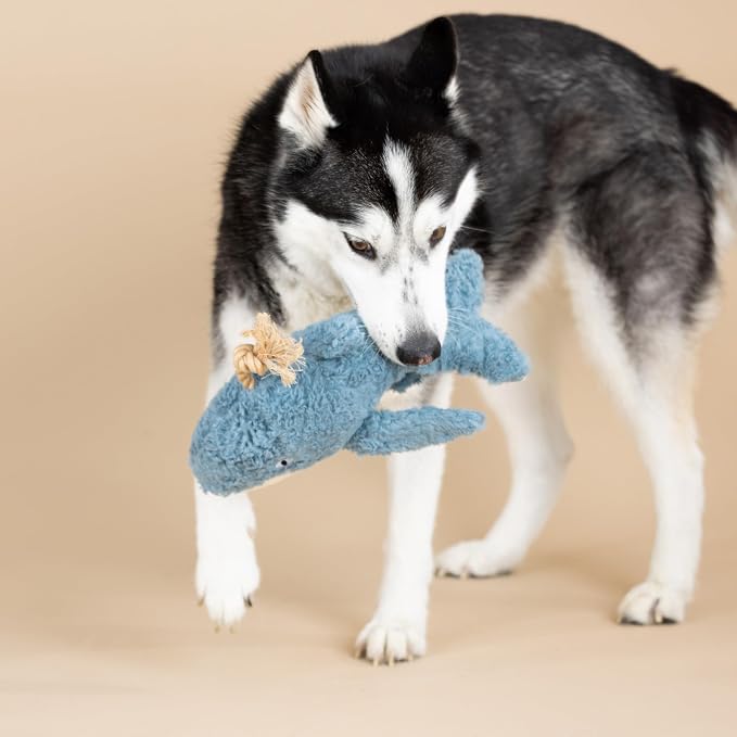 Fringe Studio OH Whale 3D Earth Friendly Cotton Canvas Dog Toy, PetShop - Image 5