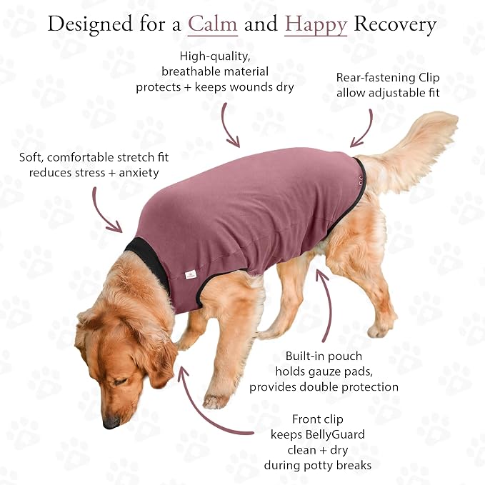 BellyGuard Dog Surgery Recovery Suit, Dog Onesie - Image 5