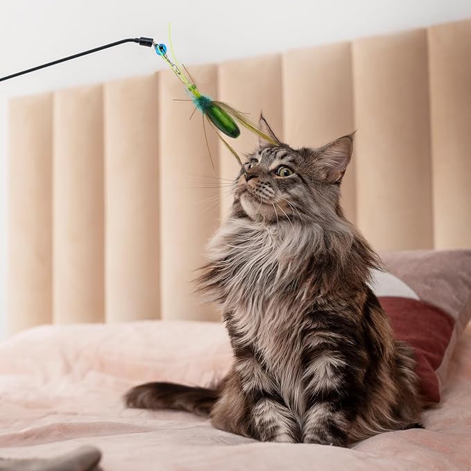Cat Insect Feather Toys Replacement Cat Toy Wand Refills, 6 Pieces Natural - Image 6
