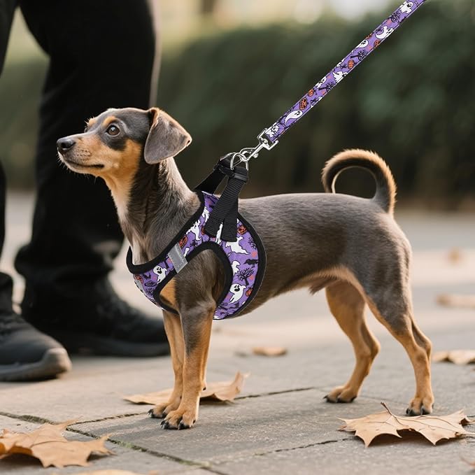 KOOLTAIL Halloween Dog Harness and Leash Set - Image 6