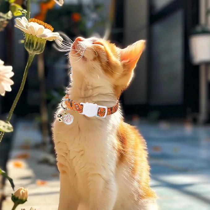 Unique Style Paws Pumpkin Kitten Collar, 2 Pack Halloween Cat Collar - Image 6