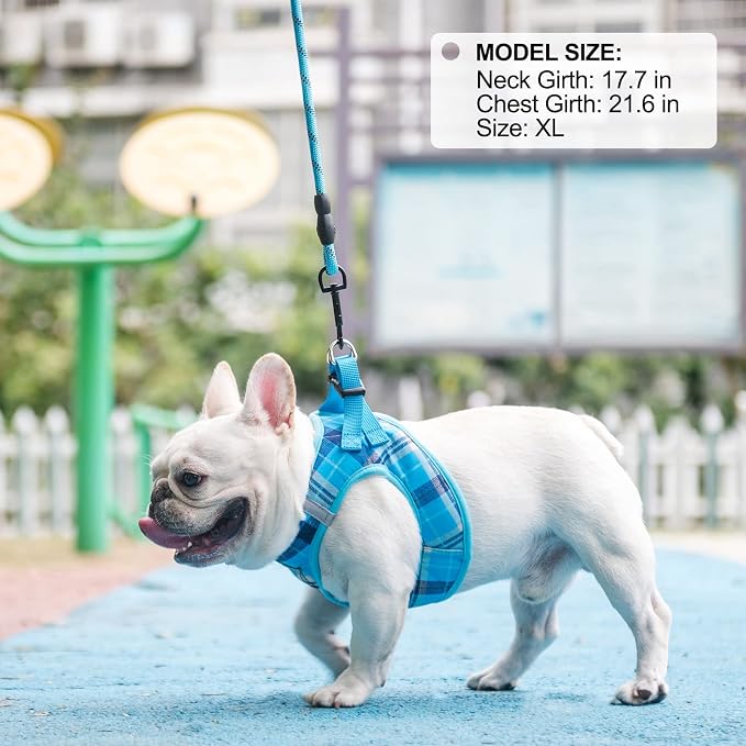BEAUTYZOO Small Dog Harness and Leash Set, Step in No Choke No Pull Soft Mesh - Image 8