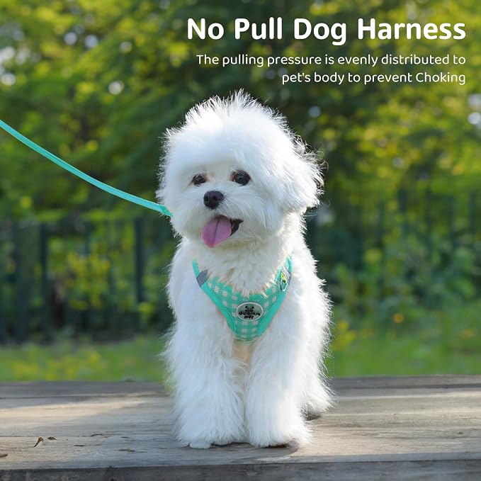 Gyuzh Dog Harness and Leash Set, Soft Mesh Breathable Small Dog Harness - Image 3