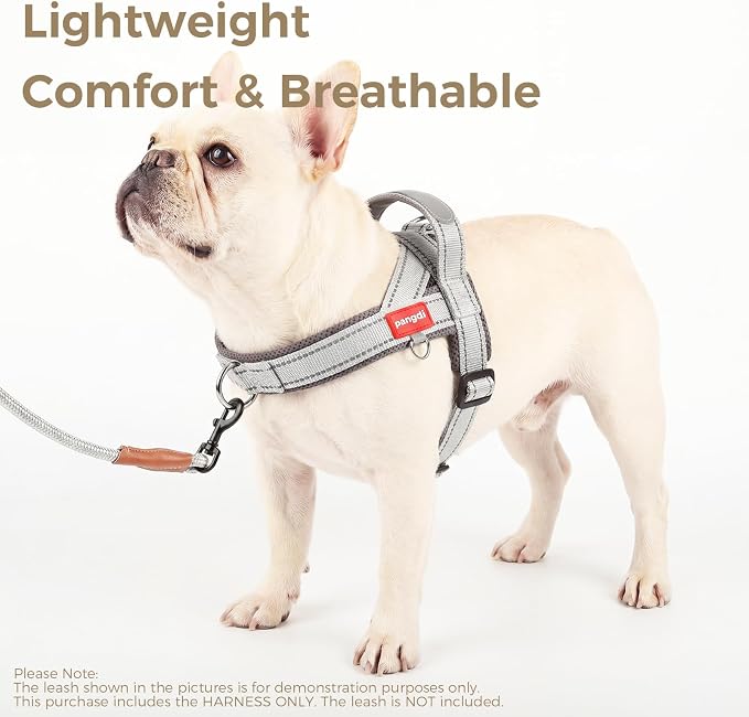 No Pull Dog Harness with Handle, Yorkie Adjustable Reflective Dog Vest - Image 6