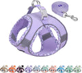 AIITLE Small Dog Harness by AIITLE-FORPETSBETTERLIFE
