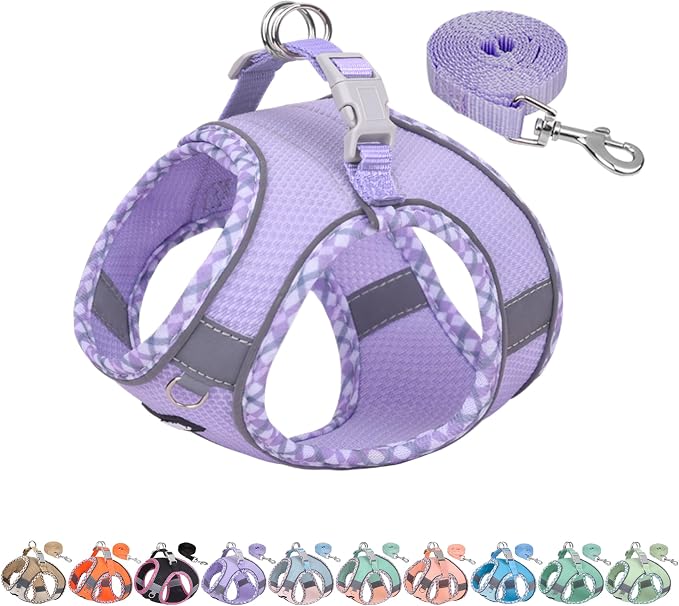 AIITLE Small Dog Harness by AIITLE-FORPETSBETTERLIFE