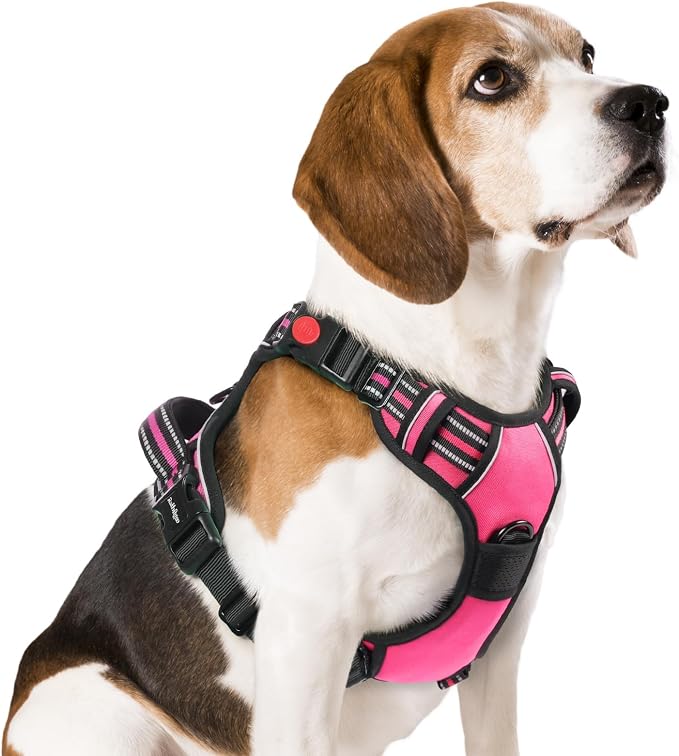 rabbitgoo Dog Harness Medium Sized, No Pull Pet Harness by rabbitgoo