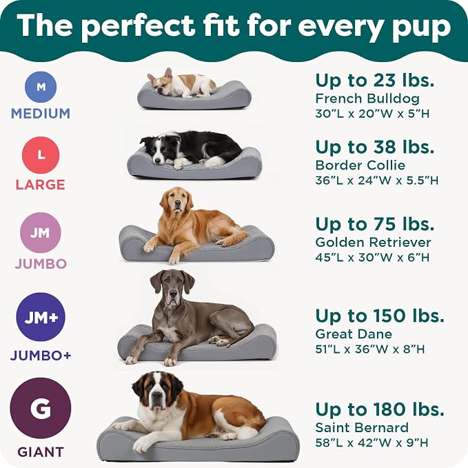 FurHaven Orthopedic Dog Bed for Large/Medium Dogs, Luxe Lounger Contour Mattress - Image 6
