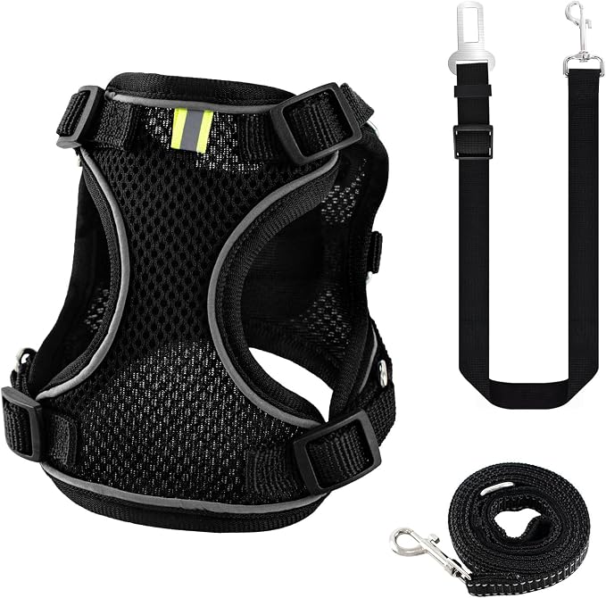 Kitten Cat Harness and Leash Set, Escape Proof Soft 4-Adjustable Cat Walking - Image 9
