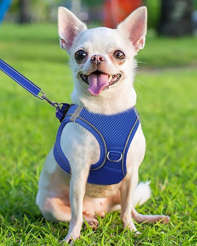Joytale Small Dog Harness, Breathable Mesh Step-in Vest, Reflective Soft Padded - Image 2