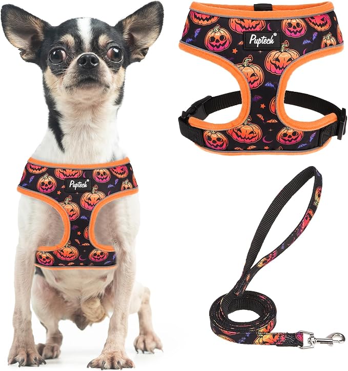 PUPTECK Soft Mesh Dog Harness and Leash Set Pet Puppy Cat Comfort Padded Vest by PUPTECK