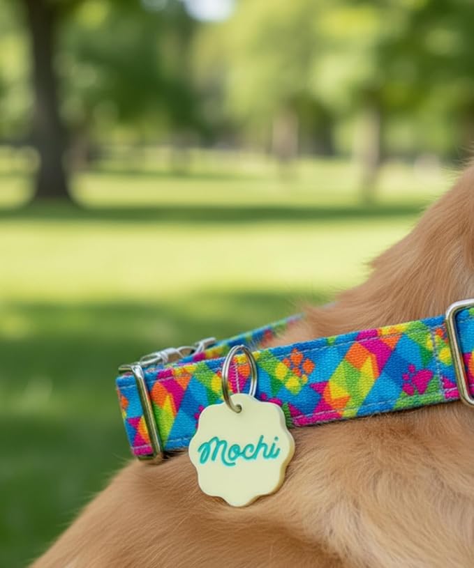 Personalized Pet ID Name Tag Charm – Custom Engraved Contact Information – - Image 6