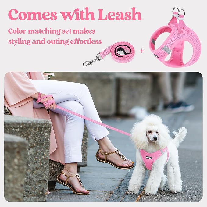 rabbitgoo Dog Harness Small Medium Sized and Leash Set, Step in Soft Light - Image 5