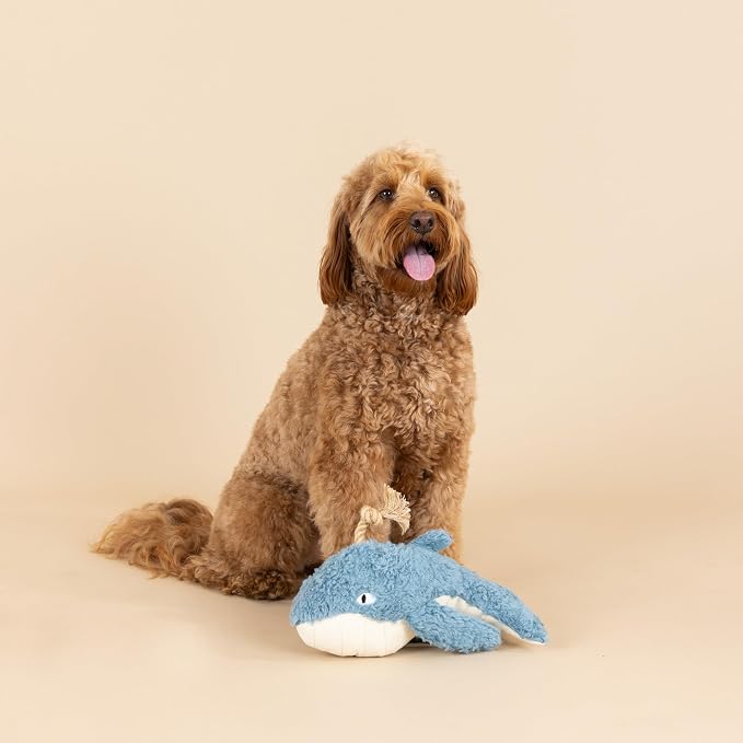 Fringe Studio OH Whale 3D Earth Friendly Cotton Canvas Dog Toy, PetShop - Image 4