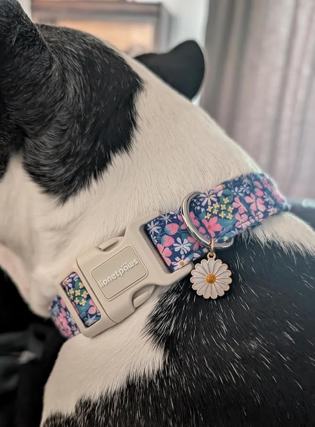 Lionet Paws Floral Dog Collar- Cute Spring Wildflowers Daisy Fleabane Dog - Image 6