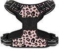 Rnivvi No Pull Dog Harness, Cute Leopard Reflective Medium Sized Puppy Kitten by Rnivvi