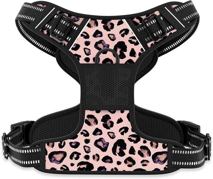 Rnivvi No Pull Dog Harness, Cute Leopard Reflective X-Large Sized Puppy Harness by Rnivvi