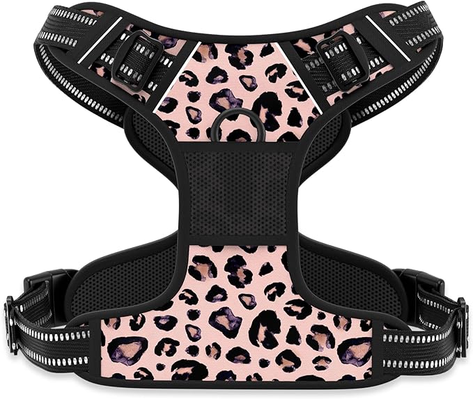 Rnivvi No Pull Dog Harness, Cute Leopard Reflective X-Small Sized Puppy Kitten by Rnivvi