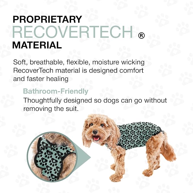 BellyGuard Dog Surgery Recovery Suit, Dog Onesie - Image 6