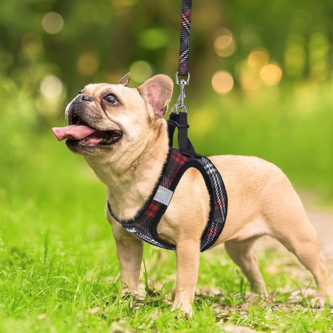 PUPTECK Dog Harness and Leash Set - Image 6