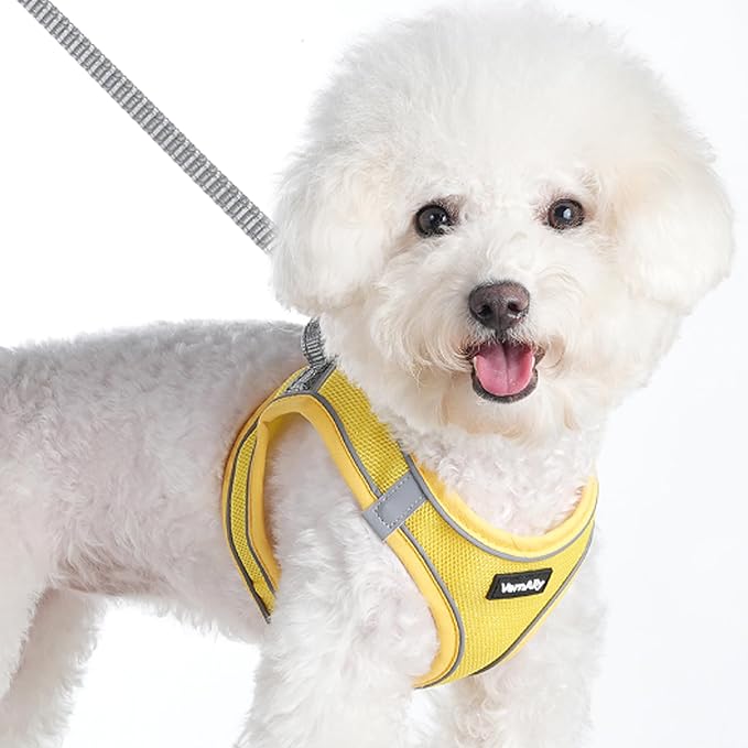 Sparkly Dog Harness Small Sized and Leash Set - Image 2