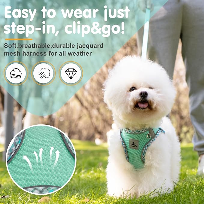 Dog Harness and Leash Set, No Pull Pet Harness - Image 2