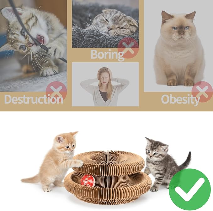 Magic Organ Cat Scratcher Board, Cat Ball Adventure The Ultimate Interactive - Image 6