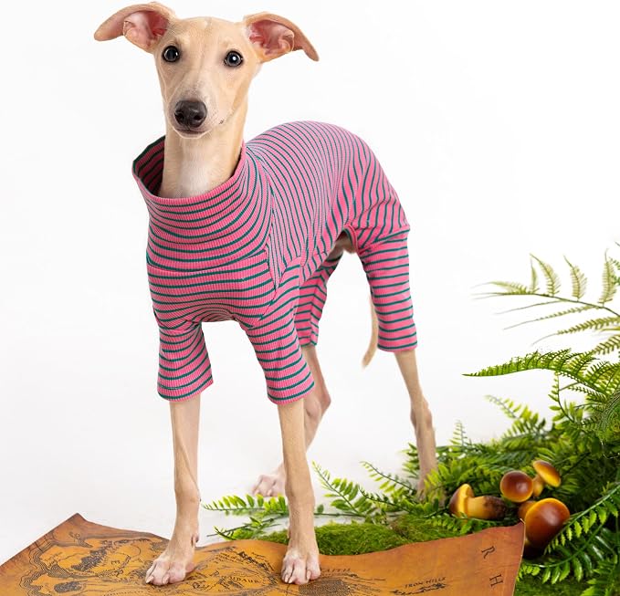 Dog Sweaters for Small Dogs Girls Boys, Striped Pet Sweaters for Fall Winter - Image 2