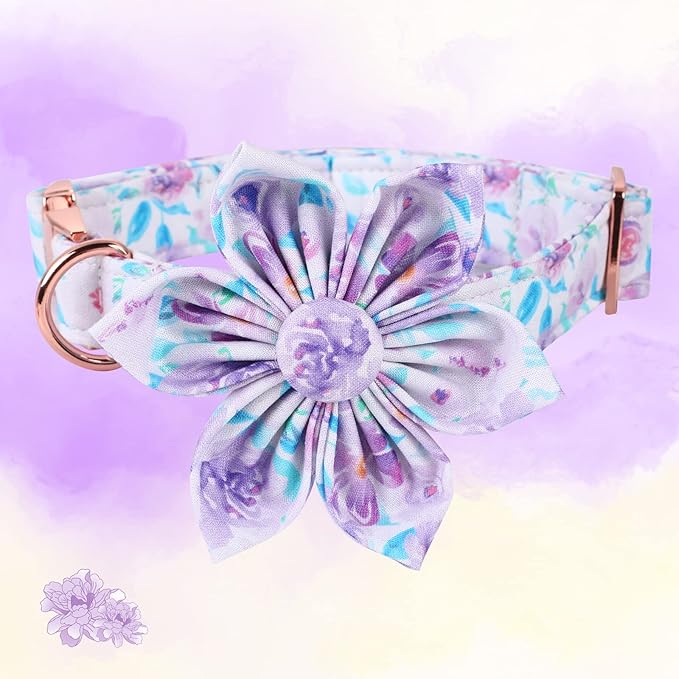 Lionheart Glory Dog Collar - Image 2