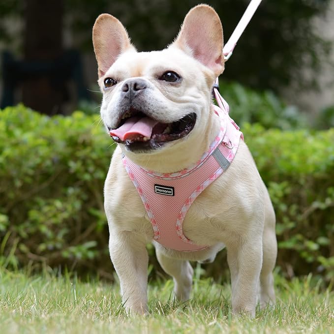 Mercano Soft Mesh Dog Harness and Leash Set, No-Chock Step-in Reflective - Image 4