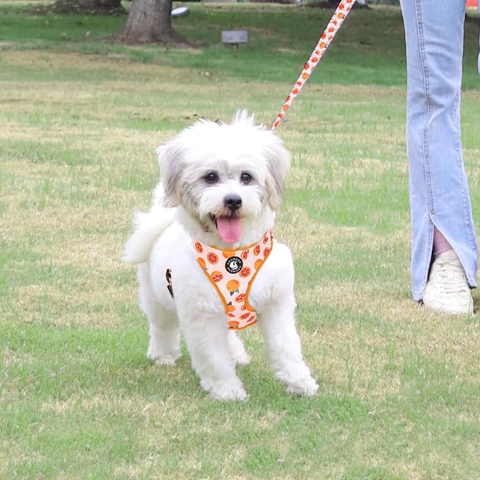 Dog Cat Harness and Leash Set, Puppia Soft Mesh Padded and Adjustable Puppy - Image 7