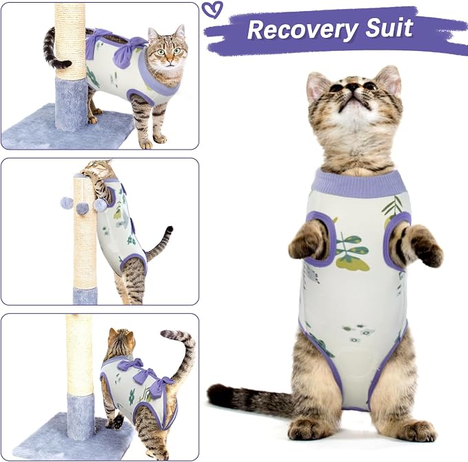 DENTRUN Cat Surgery Recovery Suit Anti Licking Spay Snuggly Vest, Pet Surgical - Image 6