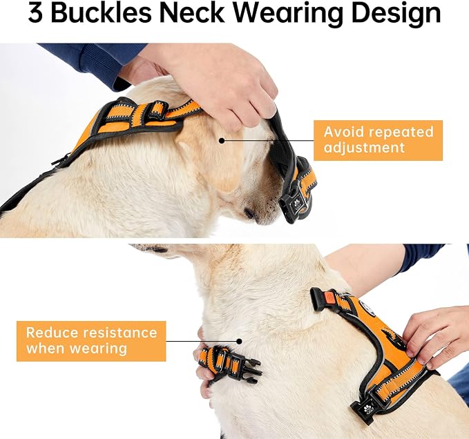 IVY&LANE No Pull Dog Harness for Small Dogs, Vest Harness - Image 4