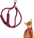 Escape Proof Y Shape Cat Harness Anti-Choke Buckle Adjustable Comfortable by BuddyArmor