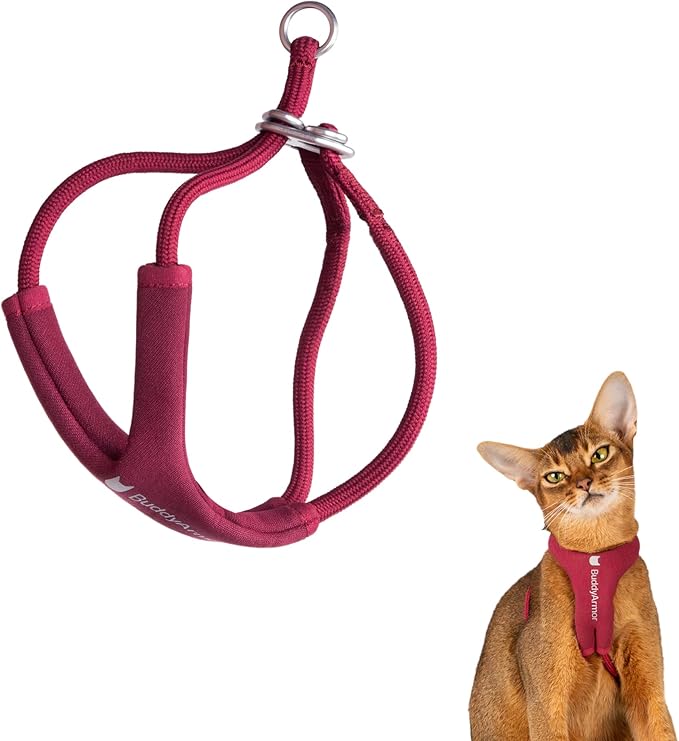 Escape Proof Y Shape Cat Harness Anti-Choke Buckle Adjustable Comfortable by BuddyArmor