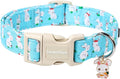 Lionet Paws Easter Dog Collar, Comfortable Adjustable Blue Rabbit Collar by lionetpaws