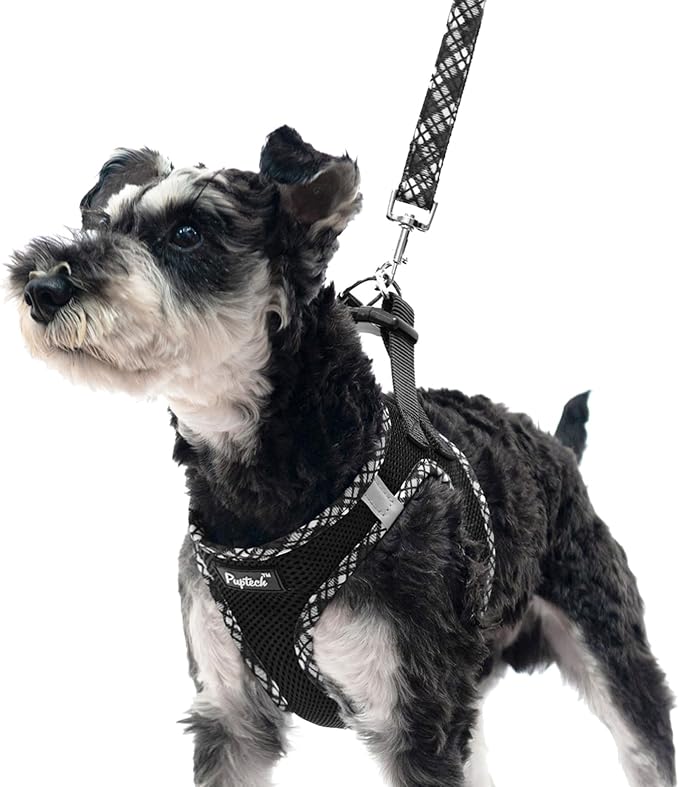 PUPTECK Dog Harness and Leash Set by PUPTECK