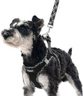 PUPTECK Dog Harness and Leash Set by PUPTECK