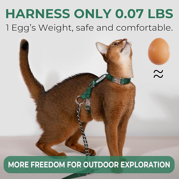 Cat Harness and Leash Set - Image 2