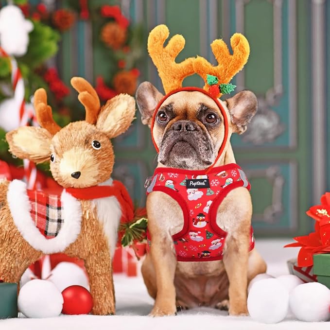 PUPTECK Dog Harness and Leash Set - Image 6