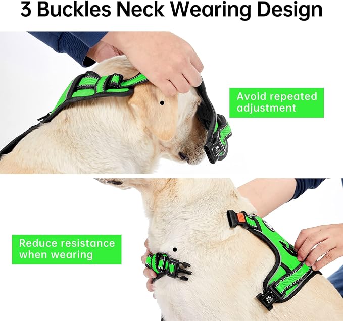 IVY&LANE No Pull Dog Harness for Small Dogs, Dog Vest Harness - Image 4