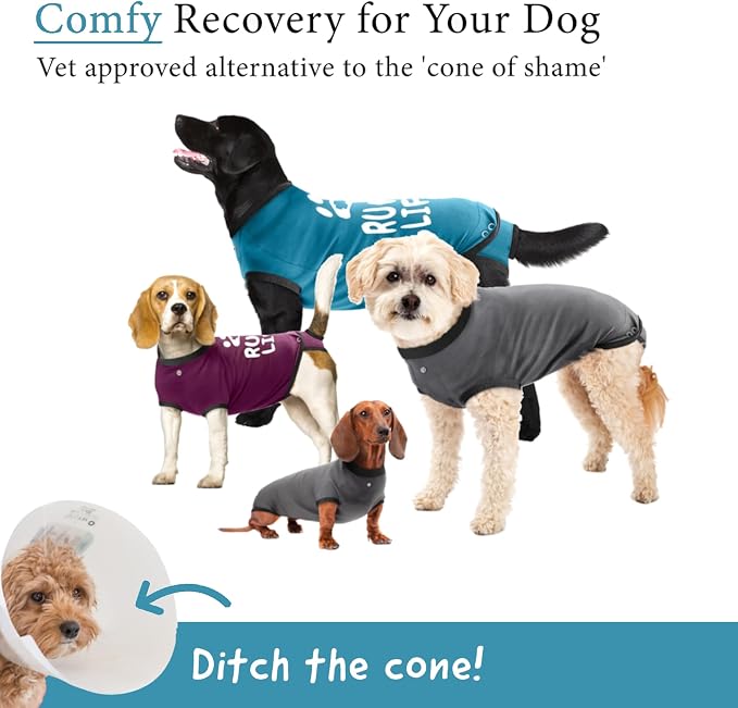 BellyGuard Dog Surgery Recovery Suit, Dog Onesie - Image 2
