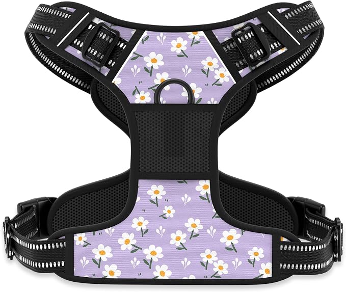 Rnivvi No Pull Dog Harness, Cute Flower Reflective X-Small Sized Puppy Harness by Rnivvi