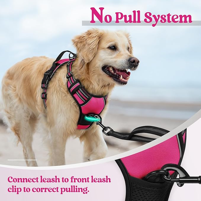 rabbitgoo Dog Harness No Pull - Image 5