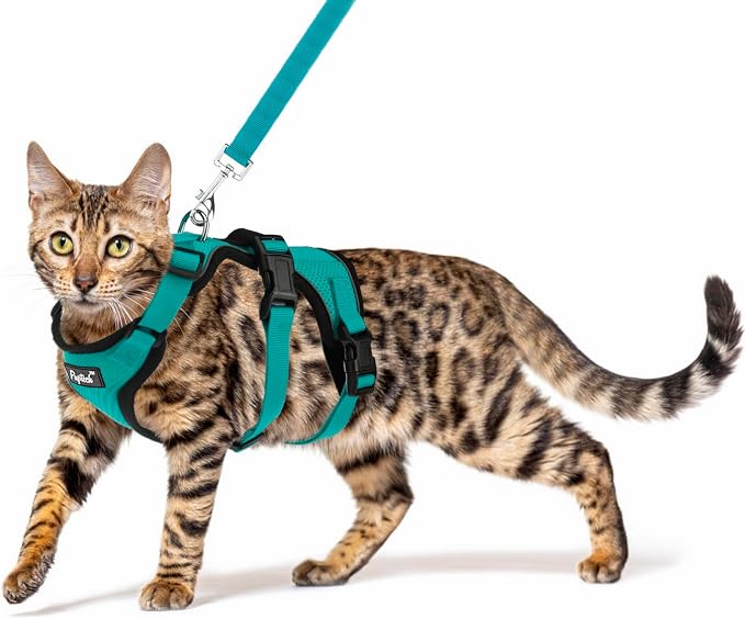 PUPTECK Cat Harness and Leash Set Escape Proof by PUPTECK