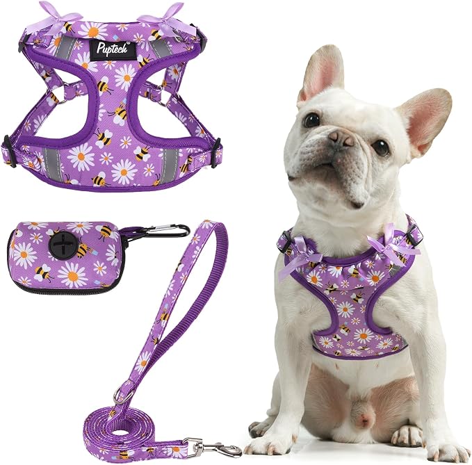 PUPTECK Dog Harness and Leash Set Medium Sized, Step in No Pull Adjustable by PUPTECK