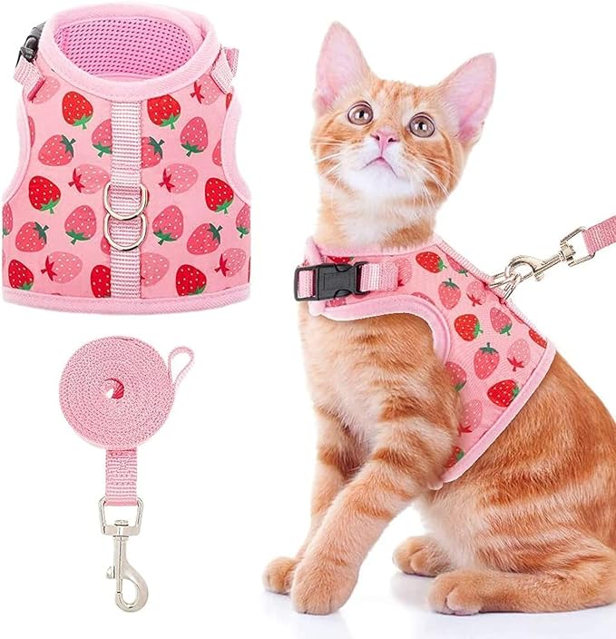 BINGPET Cat Harness with Leash Escape Proof by BINGPET